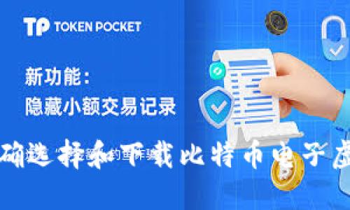 如何正确选择和下载比特币电子虚拟钱包