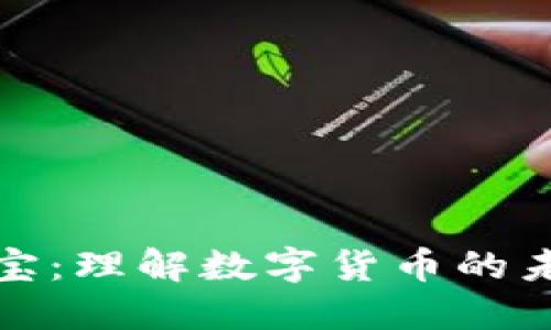 虚拟币超级宝宝：理解数字货币的未来与投资机遇