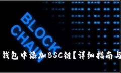 如何在PC端TP钱包中添加BSC链？详细指南与常见问