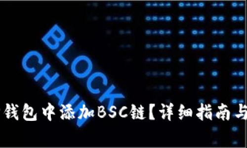 如何在PC端TP钱包中添加BSC链？详细指南与常见问题解答