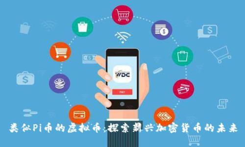 类似Pi币的虚拟币：探索新兴加密货币的未来
