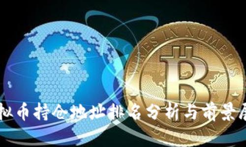 虚拟币持仓地址排名分析与前景展望