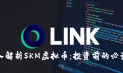 : 深入解析SKM虚拟币：投资前的必读指南
