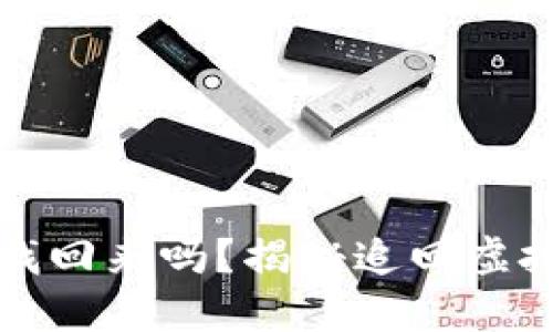 盗钱包虚拟币可以找回来吗？揭秘追回虚拟资产的途径与技巧