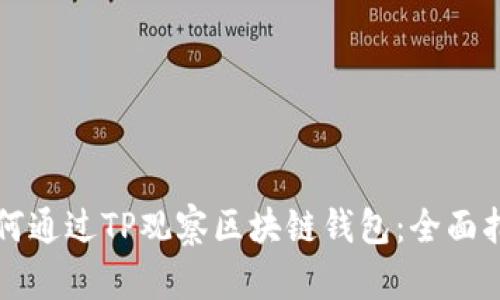 如何通过TP观察区块链钱包：全面指南