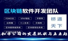 杭州虚拟币公司的发展现