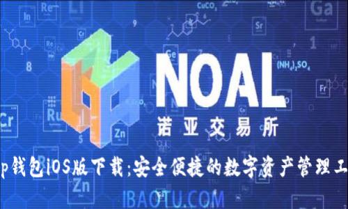 t p钱包iOS版下载：安全便捷的数字资产管理工具