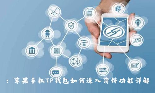 : 苹果手机TP钱包如何进入薄饼功能详解