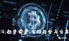 虚拟币BIG：投资前景、市