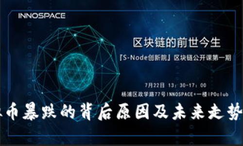 虚拟币暴跌的背后原因及未来走势解析