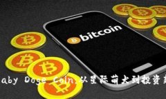 揭秘Baby Doge Coin：从星际萌