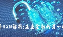 虚拟币BSN解析：未来金融