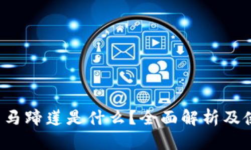 t p钱包马蹄莲是什么？全面解析及使用指南
