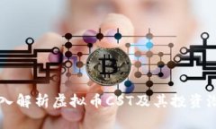 深入解析虚拟币CST及其投