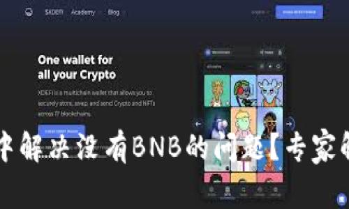 如何在TP钱包中解决没有BNB的问题？专家解答与实用指南