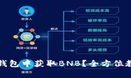如何在TP钱包中获取BNB？全方位教程与技巧