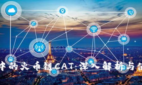 TP钱包中的火币链CAT：深入解析与使用指南