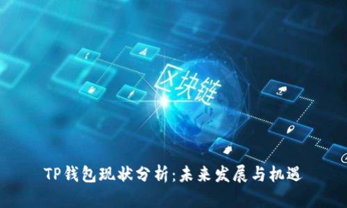 TP钱包现状分析：未来发展与机遇