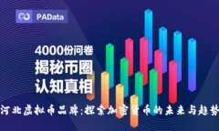 河北虚拟币品牌：探索加
