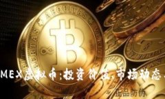 全面解析DMEX虚拟币：投资