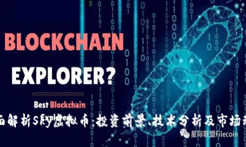 全面解析Sky虚拟币：投资前景、技术分析及市场动态