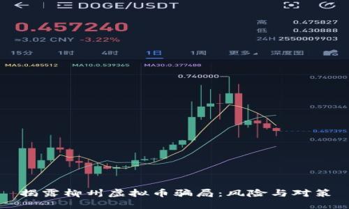 揭露柳州虚拟币骗局：风险与对策