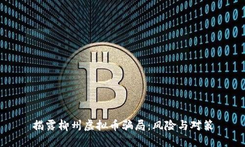 揭露柳州虚拟币骗局：风险与对策