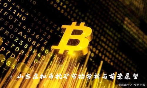: 山东虚拟币挖矿市场分析与前景展望