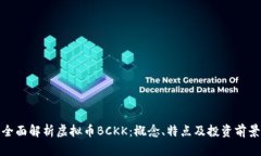 全面解析虚拟币BCKK：概念