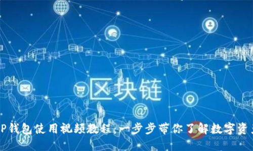 新版TP钱包使用视频教程：一步步带你了解数字资产管理