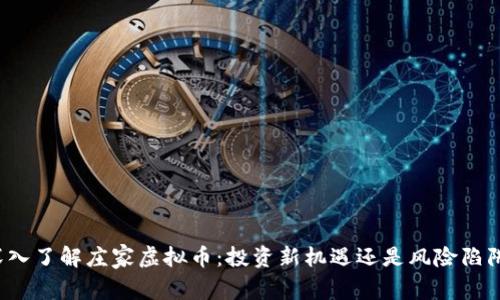 深入了解庄家虚拟币：投资新机遇还是风险陷阱？