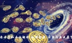 圣币虚拟币全解析：如何