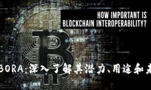 虚拟币BORA：深入了解其潜力、用途和未来发展