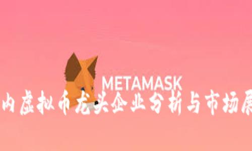 国内虚拟币龙头企业分析与市场展望