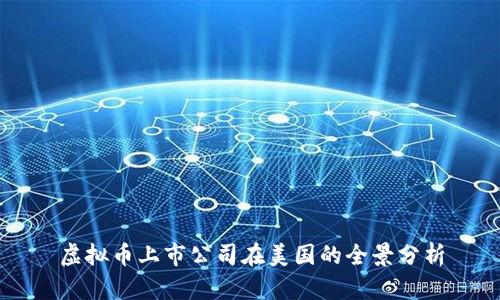 虚拟币上市公司在美国的全景分析