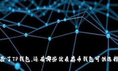  除了TP钱包，还有哪些优质存币钱包可供选择？