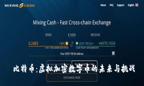  比特币：虚拟加密数字币的未来与挑战