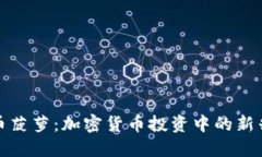 虚拟币菠萝：加密货币投