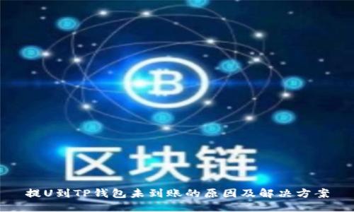 提U到TP钱包未到账的原因及解决方案