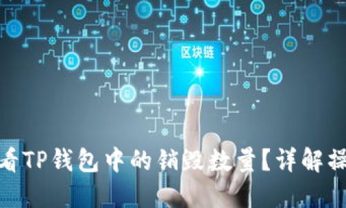 如何查看TP钱包中的销毁数量？详解操作步骤