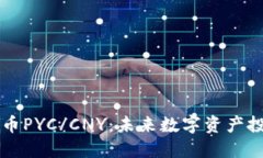 探索虚拟货币PYC/CNY：未来
