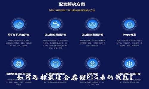 如何选择最适合存储PIG币的钱包？