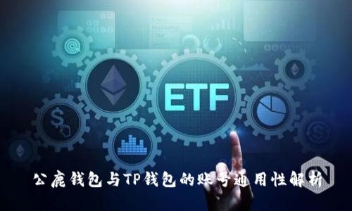 公鹿钱包与TP钱包的账号通用性解析