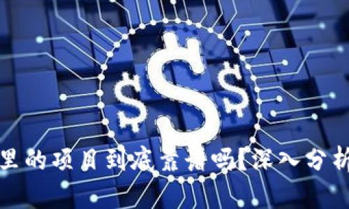 TP钱包里的项目到底靠谱吗？深入分析与思考