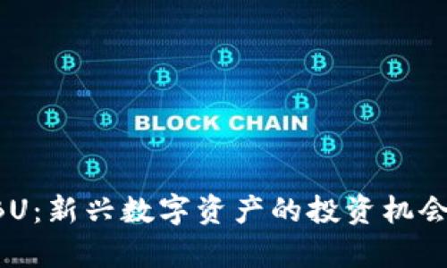 虚拟货币SBU：新兴数字资产的投资机会与市场前景