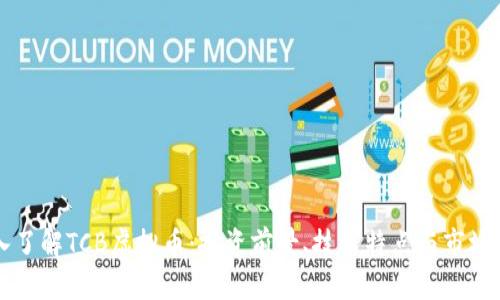 深入了解TCB虚拟币：投资前景、技术特点与市场分析