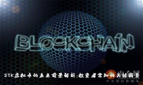 STK虚拟币的未来前景解析：投资者需知的关键因素