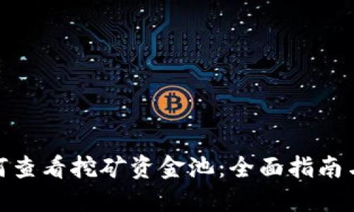 TP钱包如何查看挖矿资金池：全面指南与操作步骤