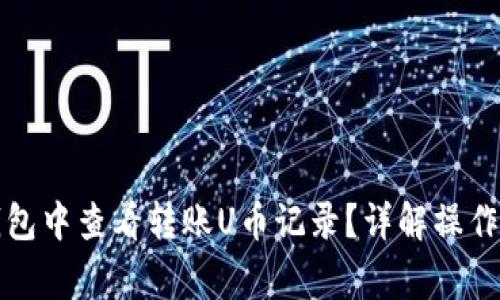 如何在TP观察钱包中查看转账U币记录？详解操作步骤与常见问题
