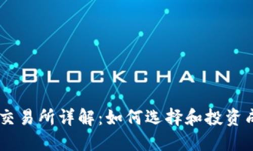 币安虚拟货币交易所详解：如何选择和投资成功的虚拟货币